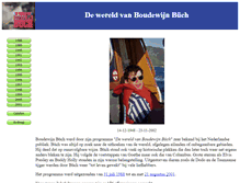 Tablet Screenshot of dwvbb.nl